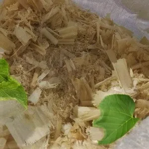 Лиственные опилки оптом в Выборге от завода-производителя Лигнум Ресурс