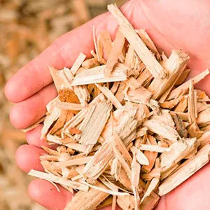 Щепа лиственная оптом в Выборге и других различных марок заказать от 16 тонн