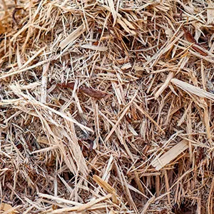 Щепа для арболита оптом в Выборге и других различных марок заказать от 16 тонн