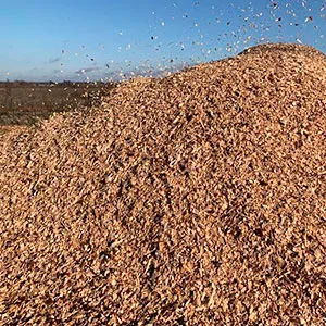 Щепа топливная оптом в Выборге от завода-производителя Лигнум Ресурс